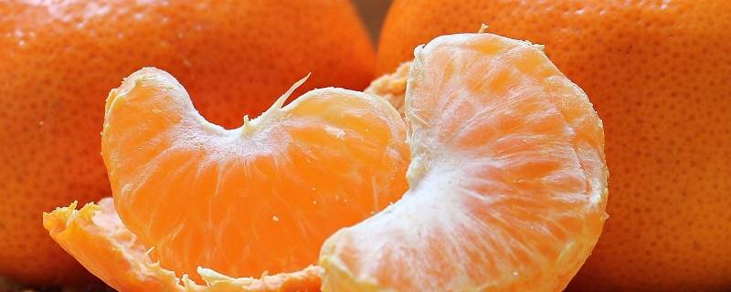 橘子和桔子哪一个才是对的 是橘子还是桔子