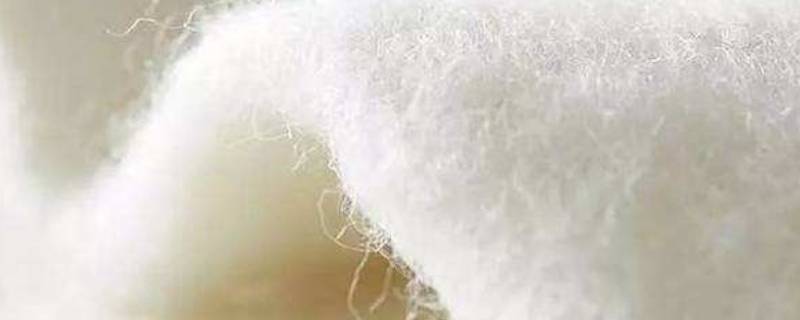 羊毛含量多少不能水洗 羊毛含量百分之三十可以水洗吗