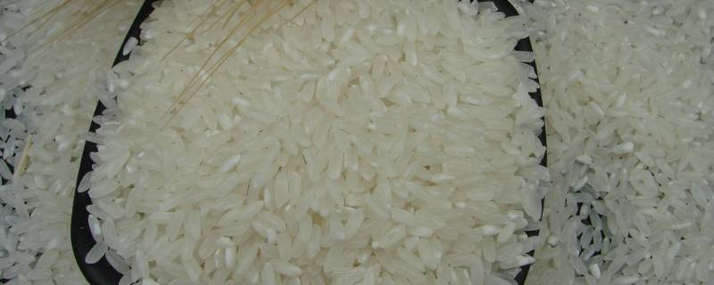 封闭的米为什么有虫 密封的米怎么会生虫