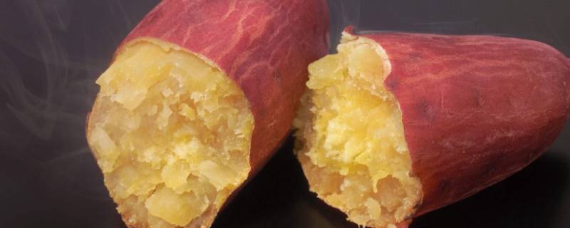 哈密红薯品种特征介绍 哈密红薯是什么品种