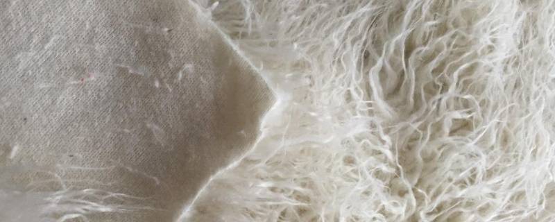 滩羊毛是属于什么毛（滩羊毛和羊滩毛是一种毛吗）