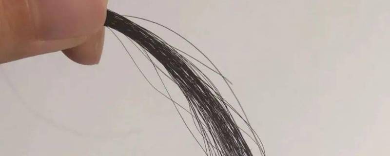 头发丝的直径是多少 头发丝的直径是多少毫米