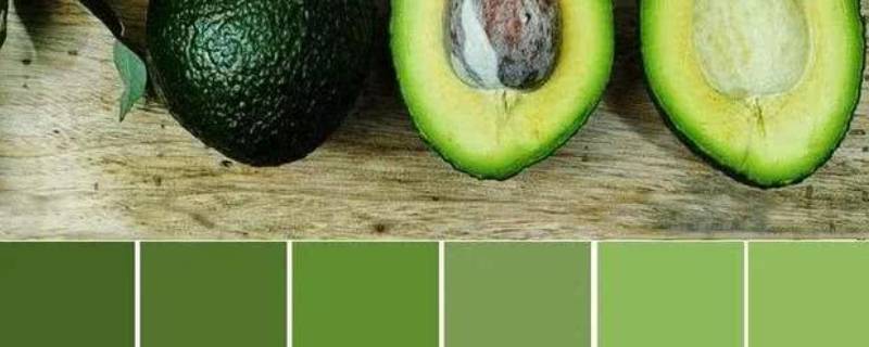 绿色有哪几种绿 绿色有哪几种绿图片