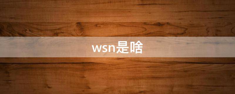 wsn是啥 wsn是啥缩写