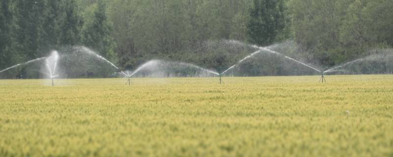 水除了灌溉田地还有什么作用 除了灌溉田地还能灌溉什么