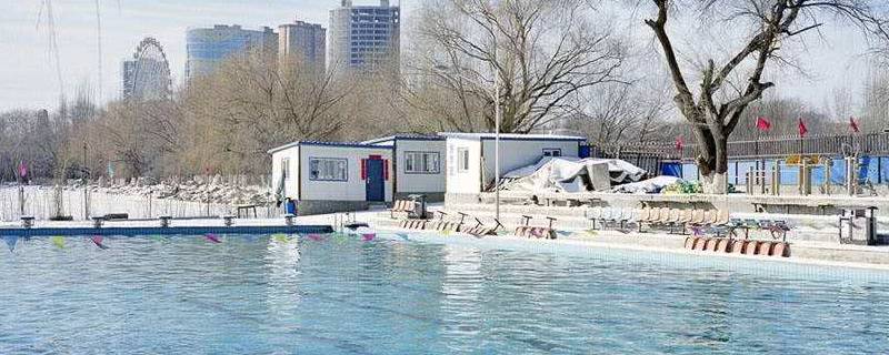 中国的第一所冬泳科研所是哪（全国冬泳基地）