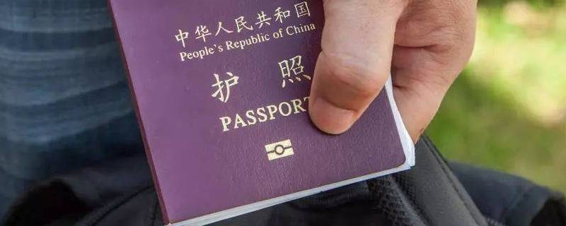 护照规格的照片是几寸的（护照规格的照片是多大）