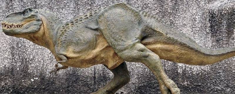 霸王龙是什么时期的 霸王龙是什么时期的动物