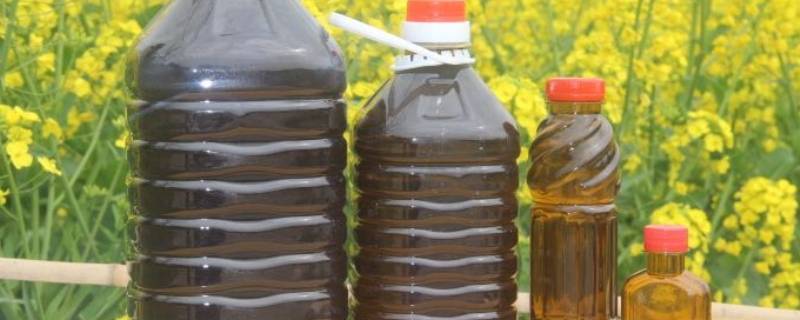 长安花菜籽油是哪里生产的 长安花菜籽油生产厂家