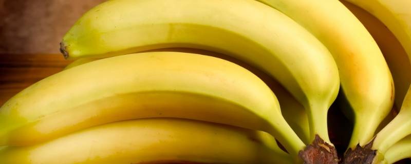 香蕉种类（香蕉种类有哪些）