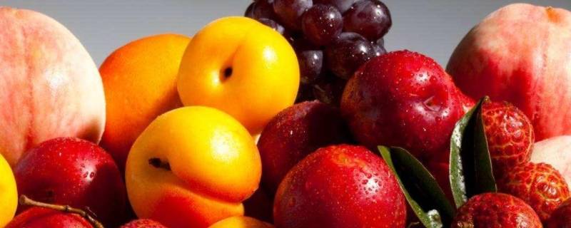 什么水果属于热性水果（什么样的水果属于热性水果）