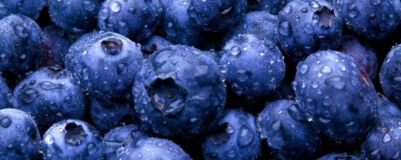 11月还有蓝莓吗 11月份有蓝莓吗
