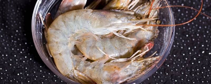 淡水虾和海水虾的区别（淡水虾和海水虾的区别是什么）
