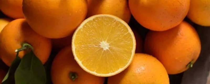 阳光橙是什么橙子（阳光橙和果粒橙）
