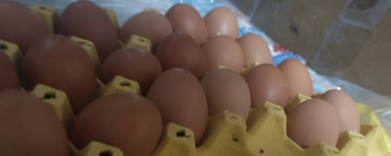 鸡蛋里白色的絮状物是什么 鸡蛋清里白色的絮状物