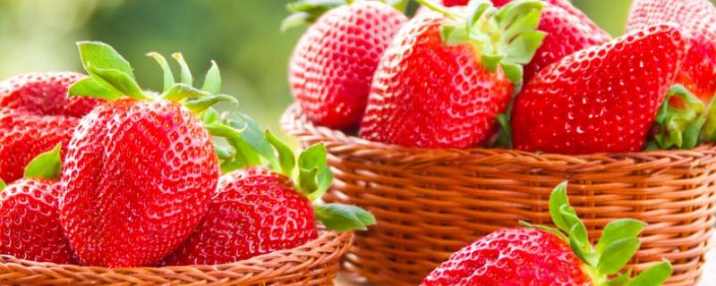 草莓是什么 草莓是什么季节的水果
