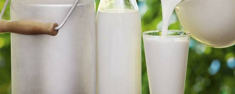 a2奶源和一般奶源有什么区别 a2奶源和一般奶源有什么区别?-芝士回答