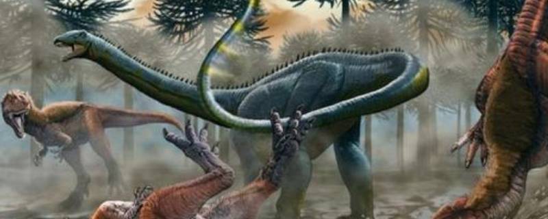 关于恐龙的知识有哪些 关于恐龙的知识有哪些?