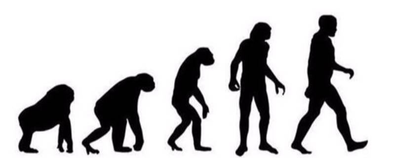 人类进化过程 人类进化过程中最显著的变化是