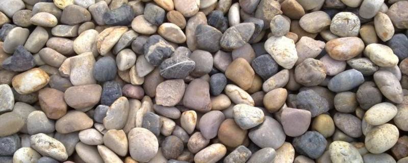 鹅卵石是岩石吗 鹅卵石是什么岩石