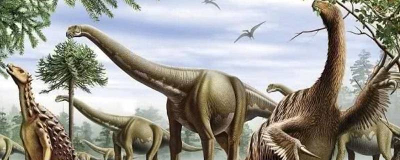 恐龙有哪些特点 恐龙有哪些特点?