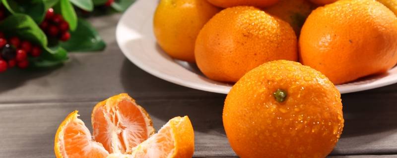 蜜桔和蜜橘有什么区别 蜜桔和蜜橘有什么区别粉丝