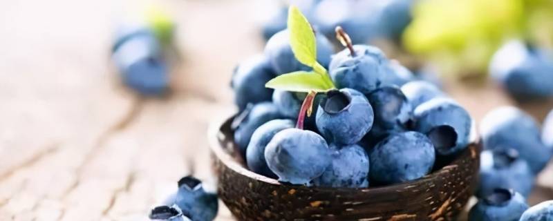 蓝莓什么味道 蓝莓什么味道酸甜可口什么富含花青素对眼睛非常好