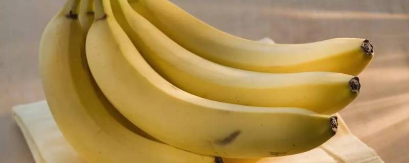 香蕉皮是什么部位 香蕉皮长什么样子