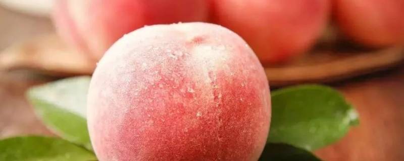 为什么水蜜桃不适合放冰箱 水蜜桃放不放冰箱
