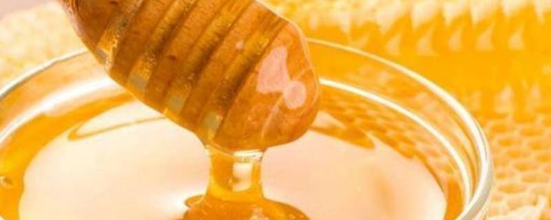 蜂蜜的用途 蜂蜜的用途和食用方法