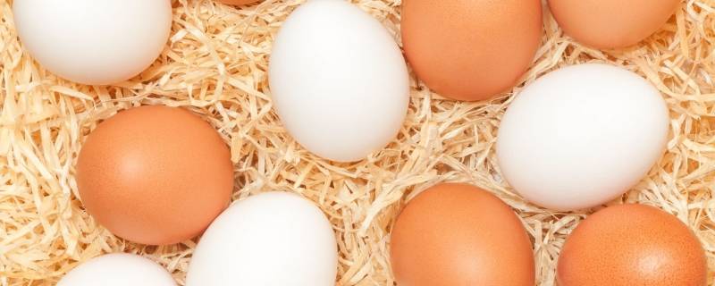 怎么判断鸡蛋是否新鲜（怎么辨别鸡蛋是否新鲜）