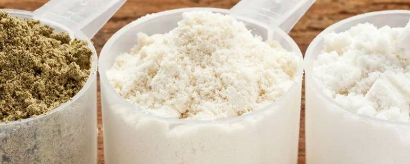 蛋白粉是什么味道 乳清蛋白粉是什么味道