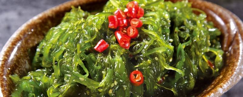 干海藻菜是裙带菜吗 海藻菜跟裙带菜有何不同