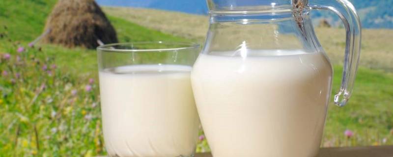 夏天牛奶常温能放多久 牛奶在夏天能放多久