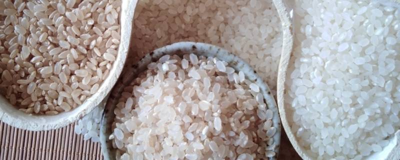 精米是什么米（精米是什么米?）