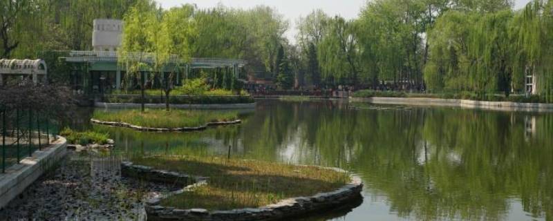 人定湖公园在北京什么地方（人定湖公园属于哪个区）