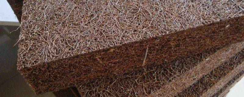 棕床垫生虫子怎么办 棕榈床垫子生虫子怎么办
