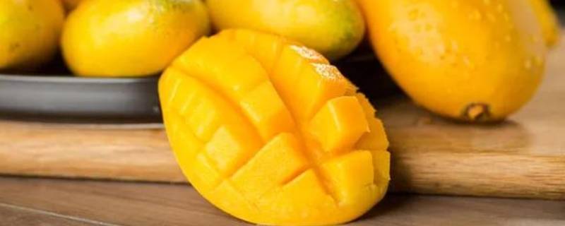 热带水果都有哪些水果 常见的热带水果有哪些