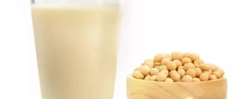 一杯豆浆含多少蛋白质 一碗豆浆的蛋白质含量