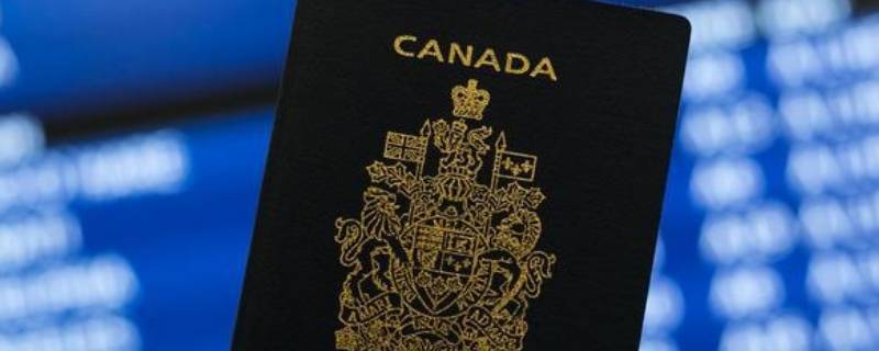 加拿大签证照片尺寸要求（加拿大签证照片尺寸要求2022）