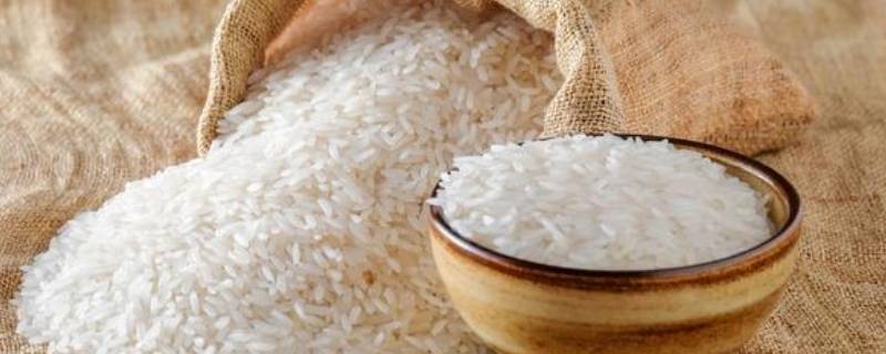 黍米和小米有什么区别（黍米和小米的区别）
