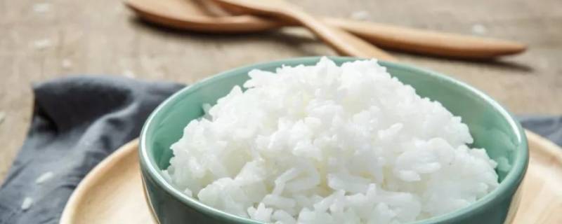 米饭成分（米饭成分含量）