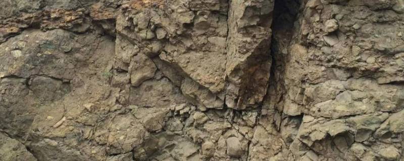 砾岩最主要的特点 砂砾岩的特点