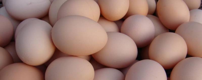 荷包蛋流黄能不能吃 荷包蛋流黄可以吃吗