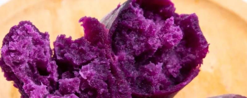 紫薯坏了是什么样子 紫薯坏了是什么样的