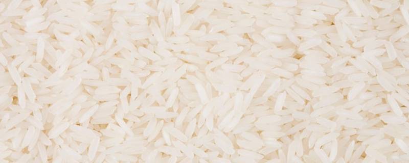 米里面放什么东西才不会长虫 米怎么放才不会长虫