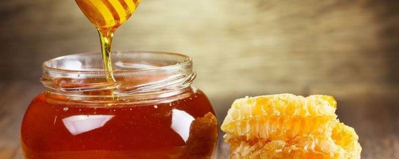 野生蜜蜂几月份可以取蜜（野生蜂蜜几月取蜜最合适?）