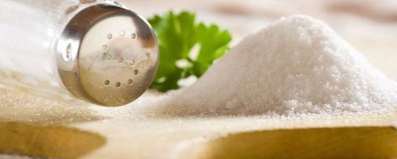世界卫生组织建议成人每日摄入盐量（世界卫生组织建议成人每日摄入盐量不超过多少克）