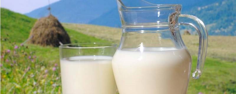 如何挑选新鲜的牛奶（如何挑选新鲜的牛奶和鸡蛋从食品原料学角度）