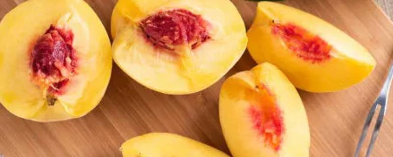 黄色的桃子是什么品种 黄肉桃子的品种有哪些品种